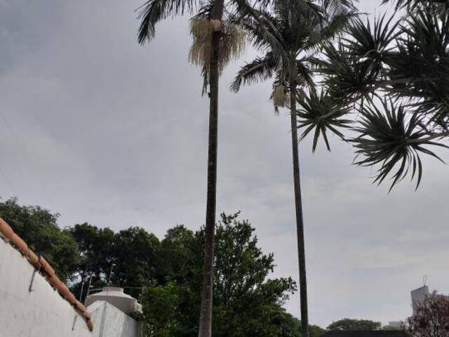 Casa para Venda em São Paulo - 3